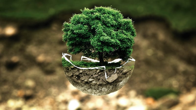 Environmental Advocacy